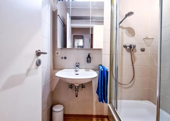 Gemuetliche 1 Zi-whg In Lage Von Passau! Passavia